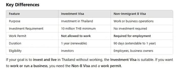 Investment Visa& Non-B Visa